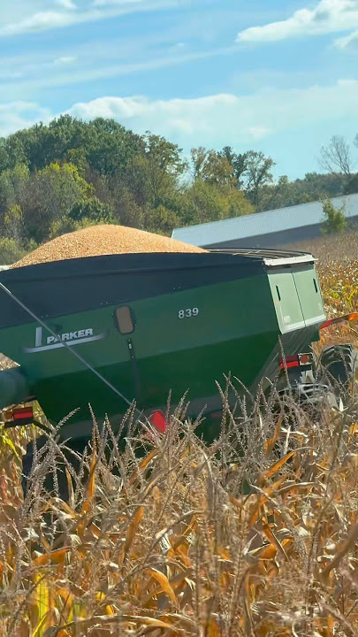 Harvesting Corn in slow motion🚜🌽 #machinerychannel #farming