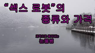 섹스 로봇의 종류와 가격. Sex Robot Species And Price. 섹스 로봇의 종류와 가격. Sex Robot Species And Price.