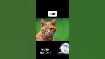 Worst Ways Animals Have Died - Part 9 | Rapid History