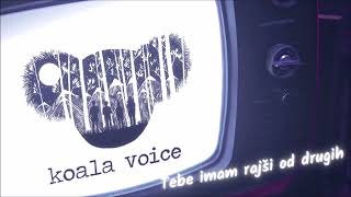 RADIOaktivno: Koala Voice – Tebe ima rajši od drugih (20.02.2024)