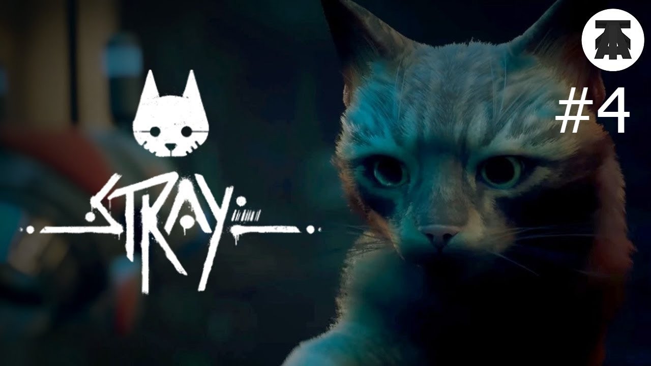 Stray игра про кота