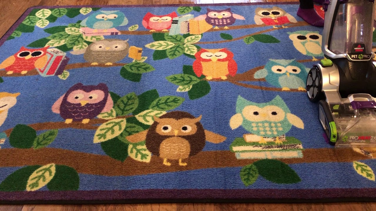 Carpet Cleaning/School Rug/ Part 2 of 3 (Owl Rug) YouTube