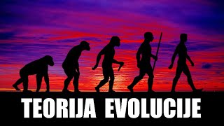 Teorija evolucije - Kako prirodna selekcija utiče na stvaranje novih vrsta života