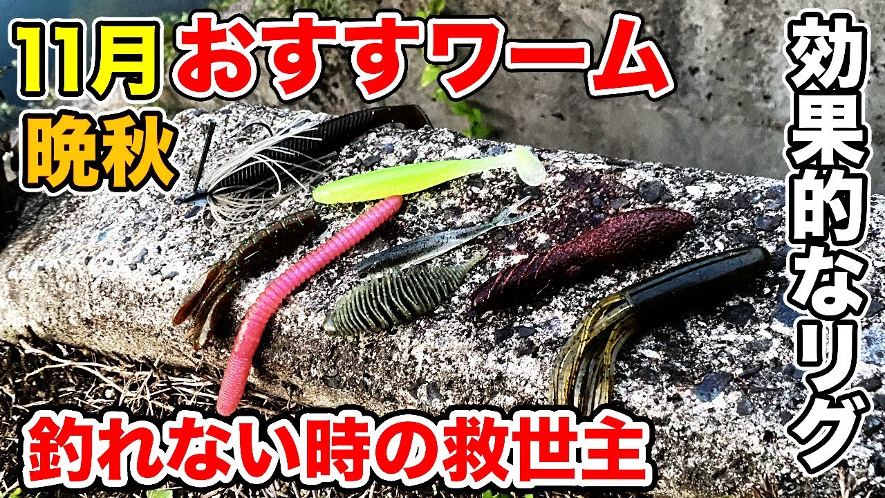 バス釣り 11月晩秋のおすすめワーム リグ 使い方や選び方など釣れるタイミングを徹底解説してみた ソフトルアー編 ヤマセンコー フリーリグ ダウンショット 瞬テキ Youtube バス釣り 11月晩秋のおすすめワーム リグ 使い方や選び方など釣れるタイミングを徹底解説してみた ソフトルアー編 ヤマセンコー フリーリグ ダウンショット 瞬テキ Youtube
