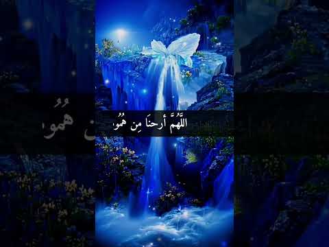 اللهم إنا نسألك صباحا يملأ الأجساد عافية والروح فرحا اللهم أرحنا من هموم الدنيا وأرزقنا التوفيق