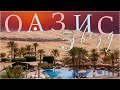 5* Оазис в Пустыне | Отель Qasr Al Sarab Абу Даби | Жизнь в Дубае