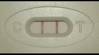 بالفيديو كيفية إختبار الحمل المنزلي - HCG Pregnancy Test