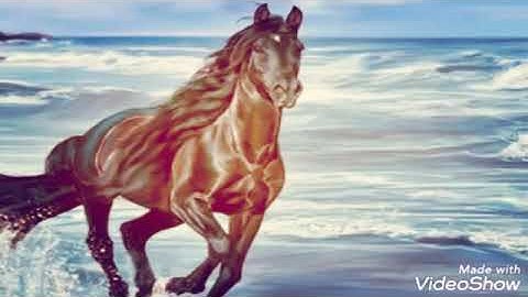 تلاوة ربانية  رائعة أرح بها مسمعك