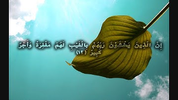 { سورة الملك } | محمد البراك .
