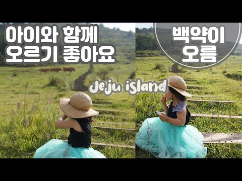 [초2딸과 제주걷기]  제주여행 | 제주오름 | 백약이오름 | 송당무끈모루 | 카페 "안도르" | 제주오름추천 | 제주카페추천