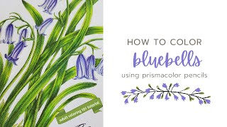 Information How to Color Bluebells with Prismacolor Pencils | Adult Coloring 101 Tutorial News