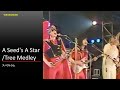 Tp195 A Seed&#39;s A Star/Tree Medley スペクトラム