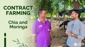 From Principal to Farmer: How Medicinal Crops Like Chia & Moringa Are Replacing Wheat
