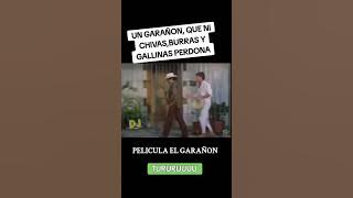 El garañón que ni chivas ni burras perdona.. película el garañón