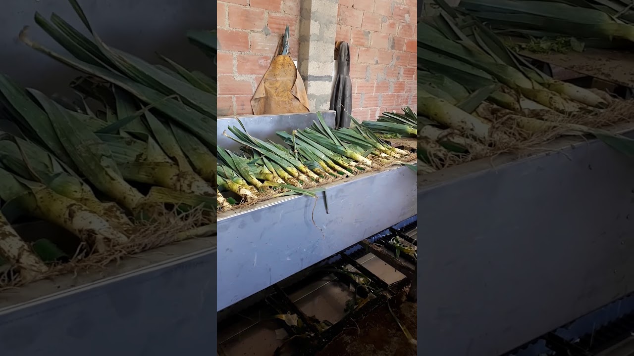 Eplucheur à poireaux bouckaert