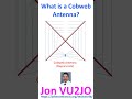 What is a Cobweb Antenna?
