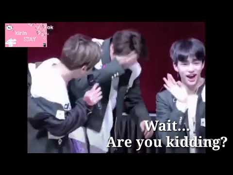 Woojin ex Stray Kids bullying members?