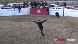 CAPEON DEL WAS 03 DICIEMBRE 2018 4K