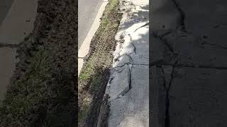 VID 20250508 092545846
