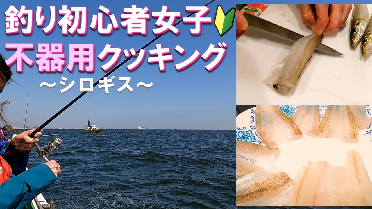 初心者釣り女子がシロギスを初めてさばいてみた 不器用な手つきで頑張りました Youtube