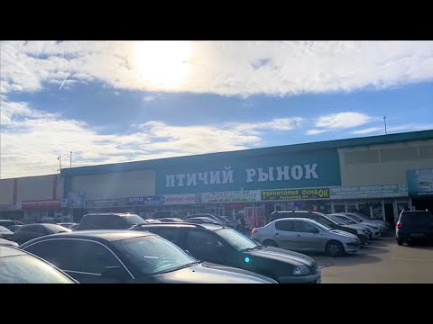 Хочу в Москву! На птичий рынок Садовод!