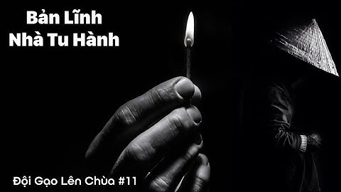 T11: Chân Tướng Thân Thế Thiền Sư Vô Úy |  Phật Pháp Giữa Thời Loạn - Cái Duyên Hay Nghiệp Báo?