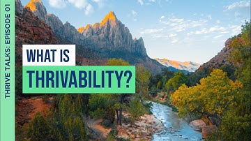 What is Thrivability? | Morris Fedeli | Podcast: Episode 1