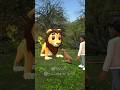 POV Dog Vs Lion POV Dog Vs Lion