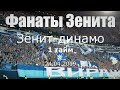 #ФанатыЗенита 1 тайм #Зенитдинамо