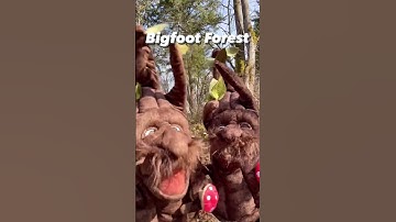 Bigfoot Forest #24 Barry & the trees work to save the planet - The Puppet Hideaway with Eric Thomsen