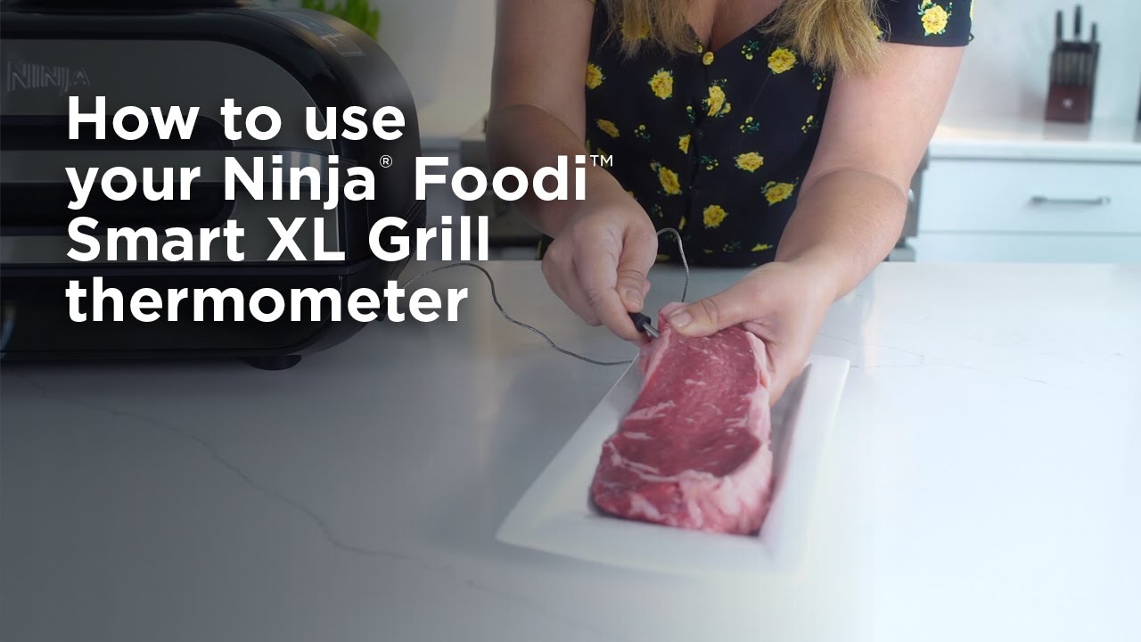 how to use the meat thermometer in a ninja air fryer｜TikTok Search
