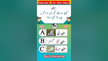 General Knowledge Quiz: Test Your IQ with These Questions 🧠