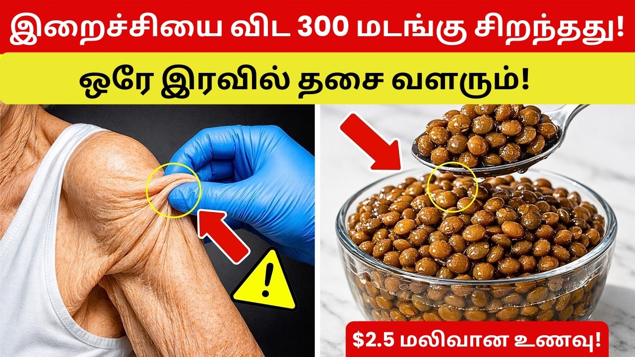 75 வயதிற்குப் பிறகும் தசை வளர்ச்சி! இந்த பழத்தின் சக்தி முட்டைகளை விட அதிகம்