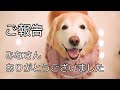 【ご報告 閲覧注意】あーちゃんを応援してくださった皆様へのご報告