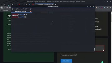 CTFlearn Forensics | Digital Camouflag | Wireshark