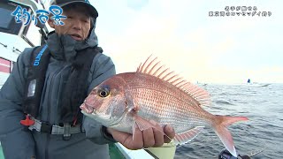 【釣り百景】#378 名手が魅せる　東京湾のコマセマダイ釣り