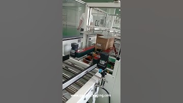 Automatic cosmetic small box horizontal pushing encasing cartoning machine with carton box erector f