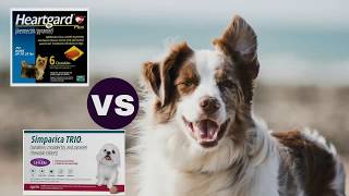 Heartgard Plus Vs Simparica Trio