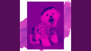 Background for Dog Training