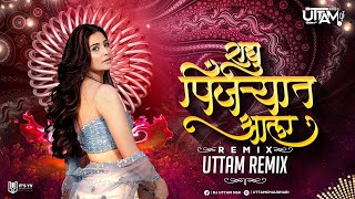 Uttam Remix : Raghu Pinjryat Ala DJ SONG | राघू पिंजऱ्यात आला DJ REMIX | | Daagdi Chaawl 2