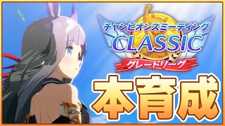 【ウマ娘】因子周回だけじゃなく本育成もやらないとね！スピ2パワ2でクロノ育成するぞ！【チャンピオンズミーティングCLASSIC】