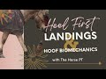 Heel First Landings - Hoof Biomechanics with The Horse PT