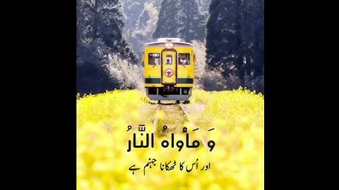 المائدة  \72\ القارئ عبد الرحمن مسعد