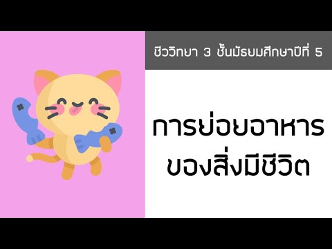 01 การย่อยอาหารของสิ่งมีชีวิต | เนื้อหาที่เกี่ยวข้องการ ย่อย อาหาร ของ สัตว์ที่แม่นยำที่สุด