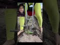 China walon Ko technology video #viral #farming #trending #viral #viral #smart #kisan #viral #video