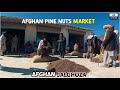 Afghan Pine Nuts Market | Paktika | Afghanistan | 4K