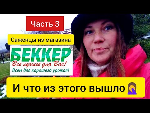 ⚫Где купить саженцы