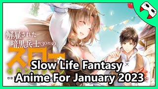 Kaiko Sareta Ankoku Heishi (30-Dai) no Slow na Second Life Fantasy Light  Novel Gets TV Anime in January 2023 - Crunchyroll News