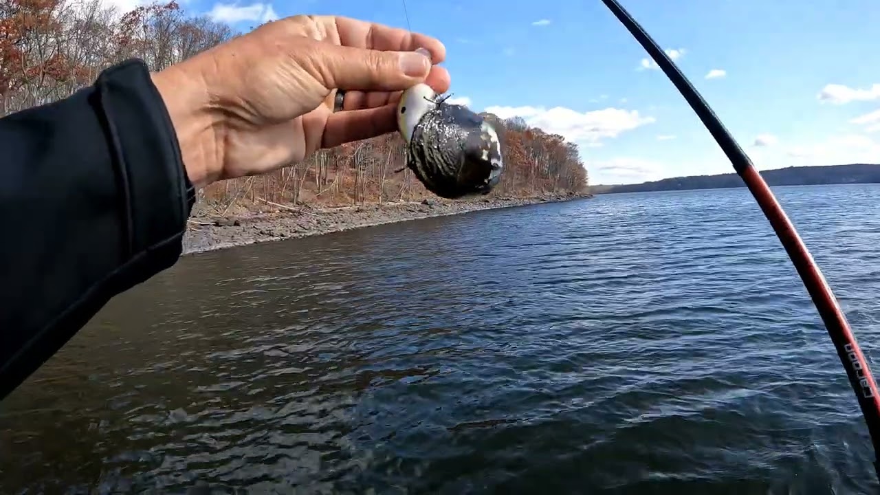 Almost got skunked…but I DIDN'T!  November bass fishing. (11/8/25)