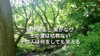 Video thumbnail of "主の教えを喜びとし"